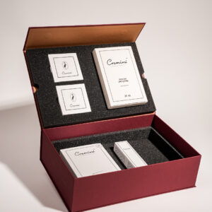 BOX zestaw ADVANCED REPAIR THERAPY